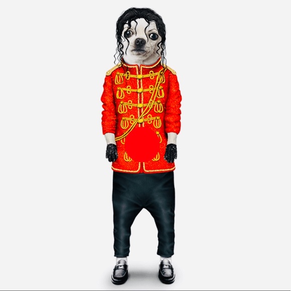 Pets Rock / POP / Mug / NIB / Host Pick - Picture 2 of 11